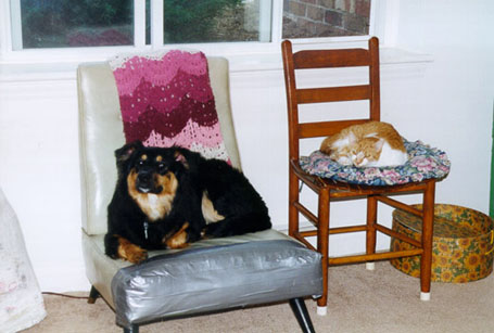 Becket and Heni lounging
