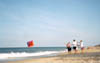 group_flying_kite