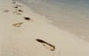 Prickley_Pear_footprints